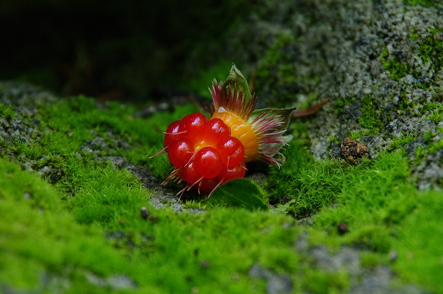 f:id:Argon:20130808001126j:image f:id:Argon:20130808001126j:image