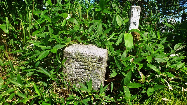 f:id:Argon:20130811200639j:image
