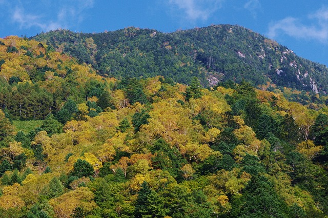 f:id:Argon:20131014212256j:image