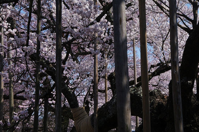 f:id:Argon:20140409212102j:image