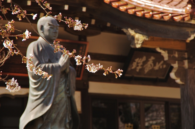 f:id:Argon:20140409212103j:image