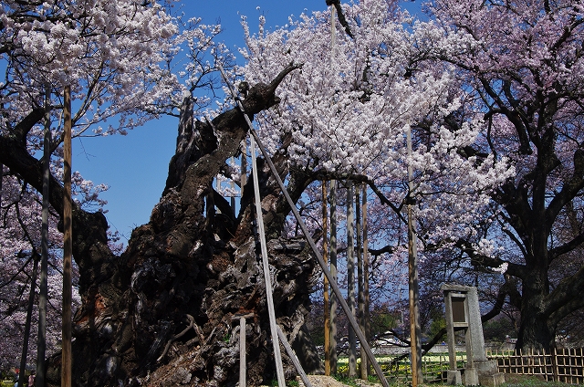 f:id:Argon:20140409212104j:image