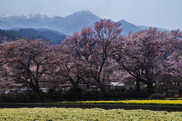 f:id:Argon:20140409212105j:image