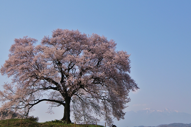 f:id:Argon:20140409212106j:image