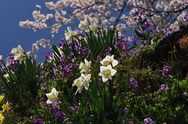 f:id:Argon:20140409212110j:image