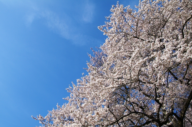 f:id:Argon:20140412201032j:image