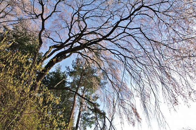f:id:Argon:20140412201033j:image