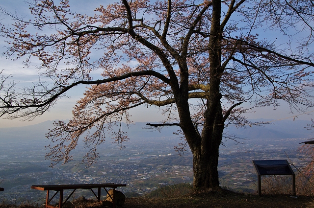 f:id:Argon:20140412201038j:image