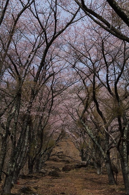 f:id:Argon:20140416154606j:image f:id:Argon:20140416154606j:image
