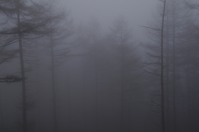 f:id:Argon:20140419214838j:image