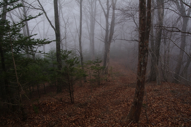 f:id:Argon:20140419214844j:image