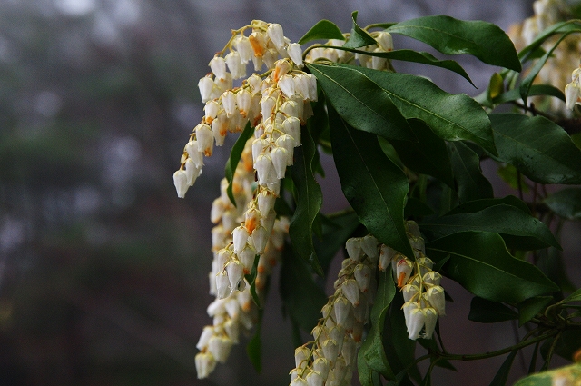 f:id:Argon:20140419221447j:image