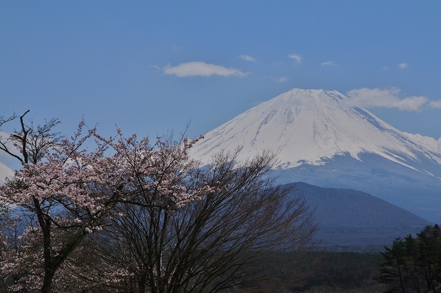 f:id:Argon:20140423205354j:image