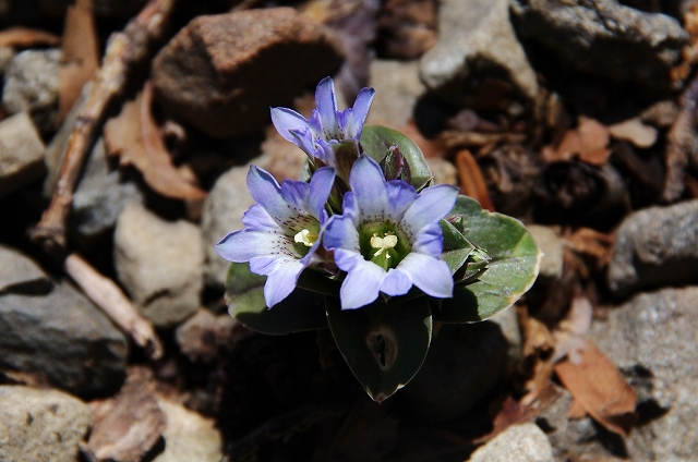 f:id:Argon:20140423205358j:image