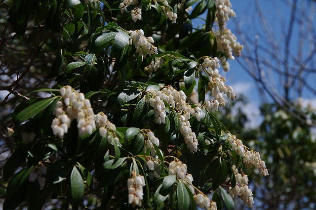 f:id:Argon:20140423205403j:image