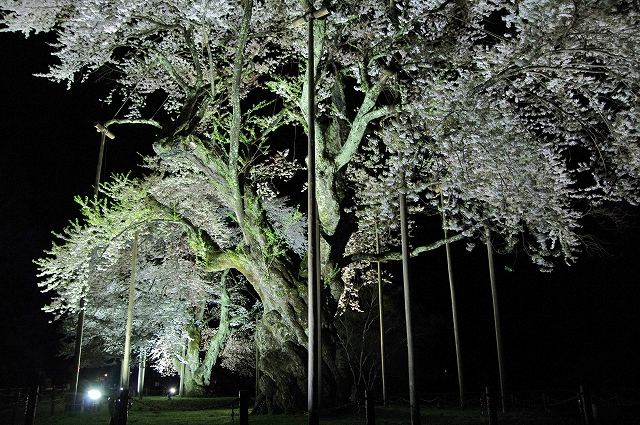 f:id:Argon:20140506173648j:image