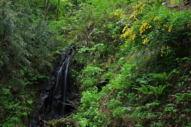 f:id:Argon:20140506173651j:image