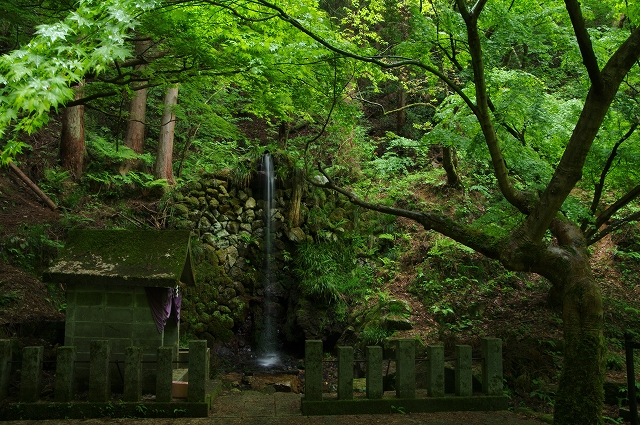 f:id:Argon:20140506173654j:image