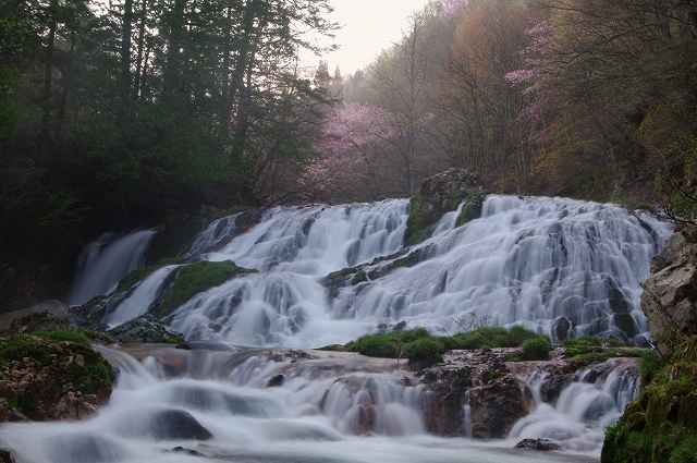 f:id:Argon:20140506181157j:image