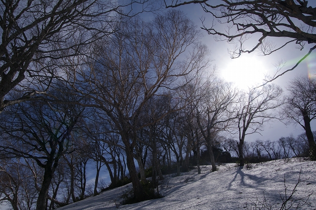 f:id:Argon:20140507093438j:image