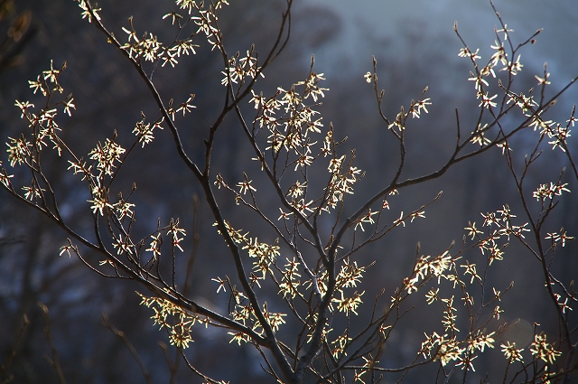 f:id:Argon:20140507093443j:image