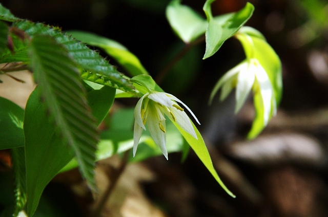 f:id:Argon:20140511113106j:image