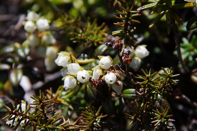 f:id:Argon:20140524201146j:image