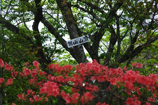 f:id:Argon:20140529001733j:image