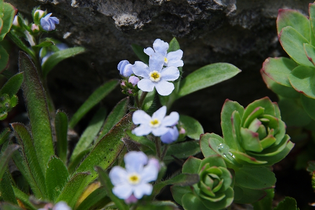 f:id:Argon:20140702235903j:image