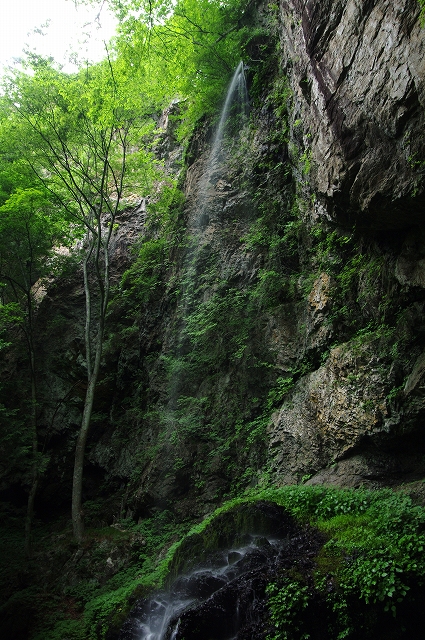f:id:Argon:20140804223042j:image