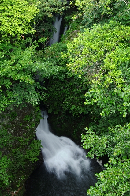 f:id:Argon:20140804223043j:image