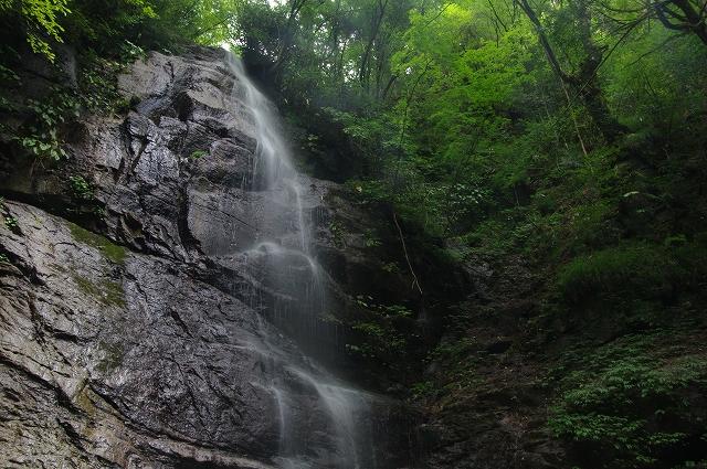 f:id:Argon:20140915225343j:image