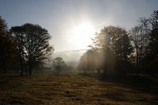 f:id:Argon:20141012214928j:image