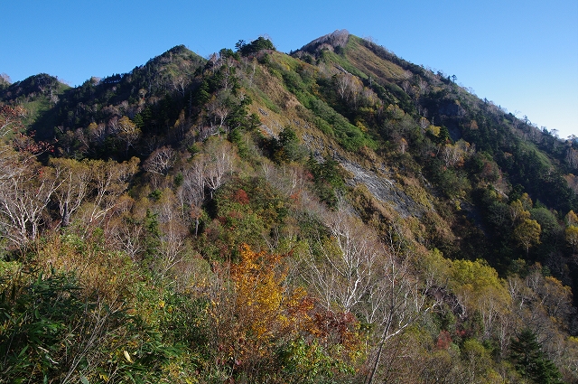 f:id:Argon:20141013105619j:image