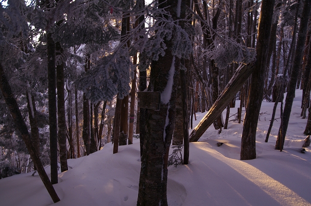 f:id:Argon:20150101181740j:image