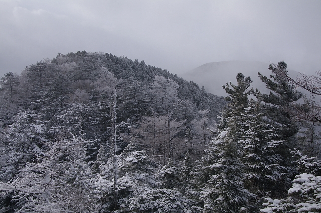 f:id:Argon:20150101185527j:image
