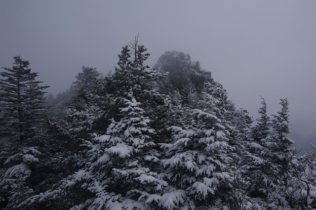 f:id:Argon:20150101190115j:image