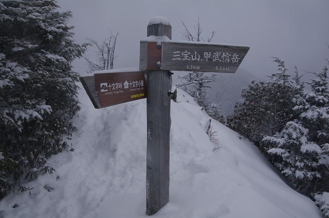 f:id:Argon:20150101190325j:image