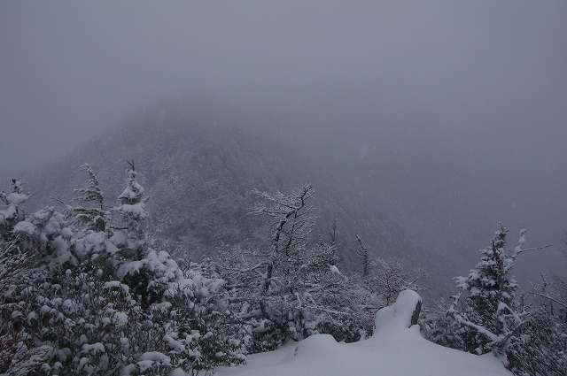 f:id:Argon:20150101190945j:image