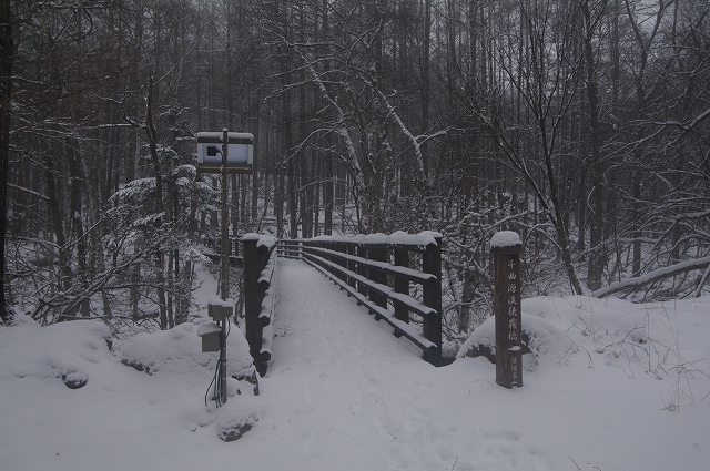f:id:Argon:20150101191516j:image