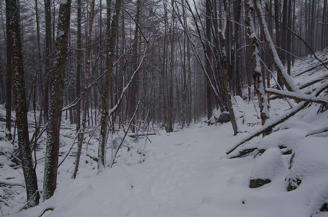 f:id:Argon:20150101191727j:image