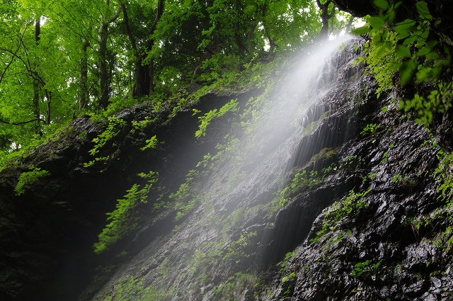 f:id:Argon:20150820230427j:image