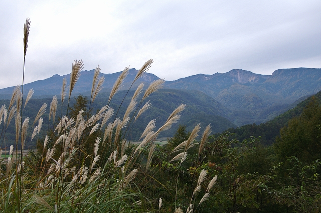 f:id:Argon:20151011201319j:image