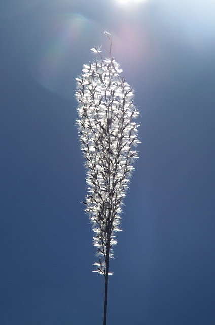 f:id:Argon:20151015000154j:image