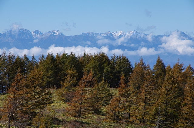 f:id:Argon:20151015002449j:image