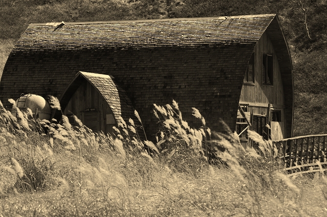 f:id:Argon:20151015002451j:image