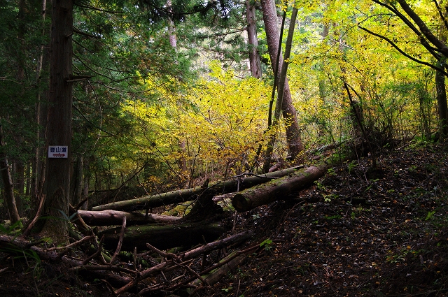 f:id:Argon:20151025215146j:image