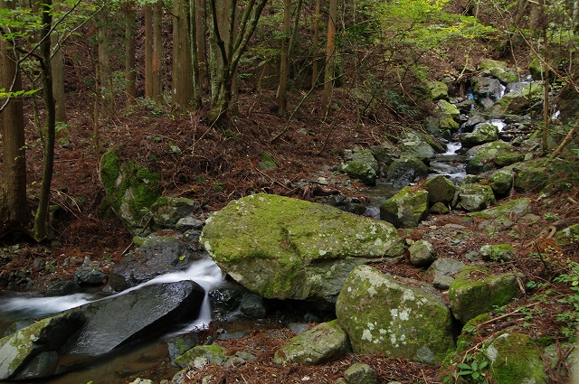 f:id:Argon:20151025215148j:image