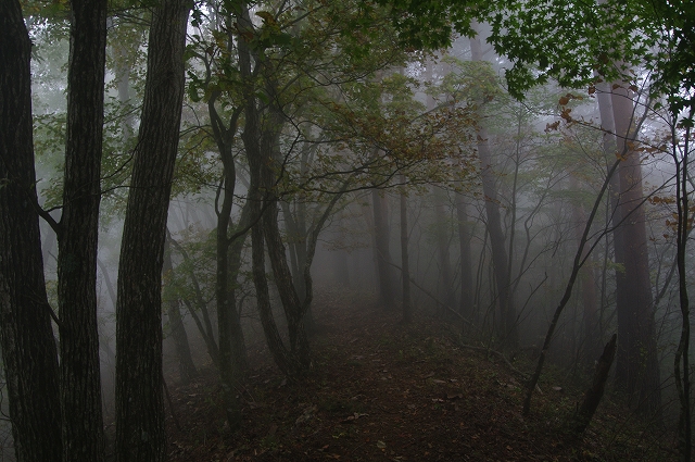 f:id:Argon:20151025215151j:image