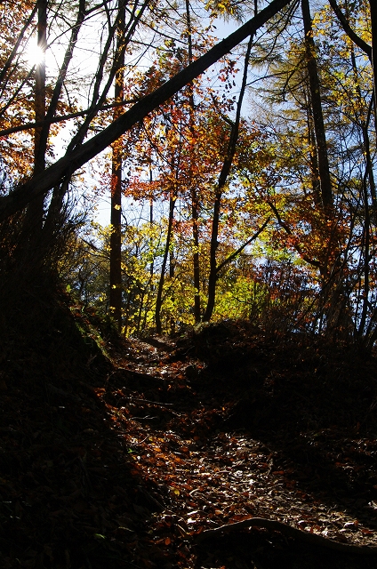 f:id:Argon:20151025215159j:image